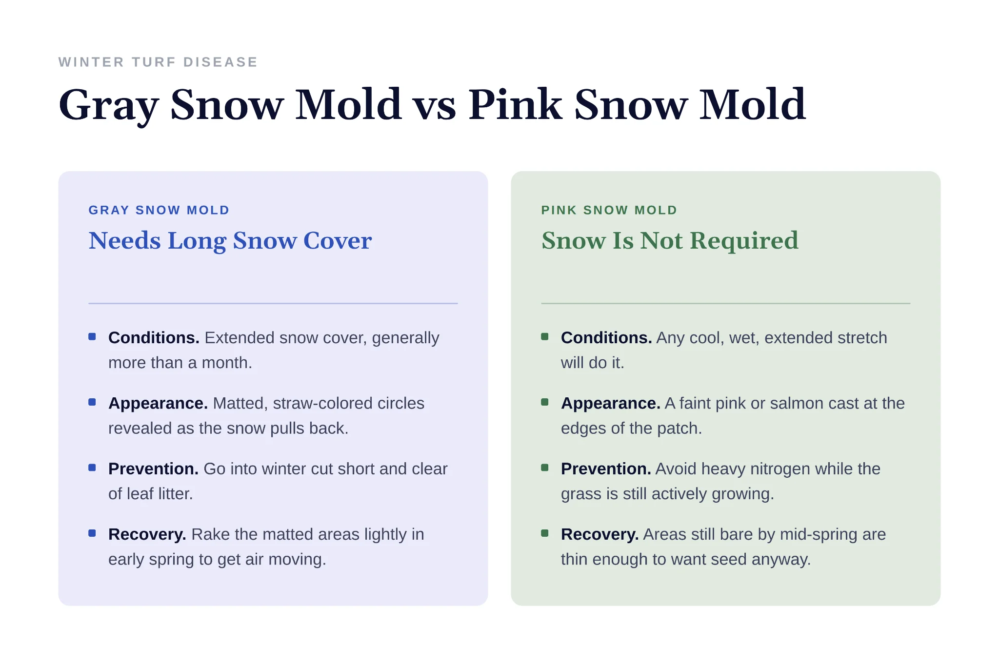 Comparison of gray snow mold and pink snow mold