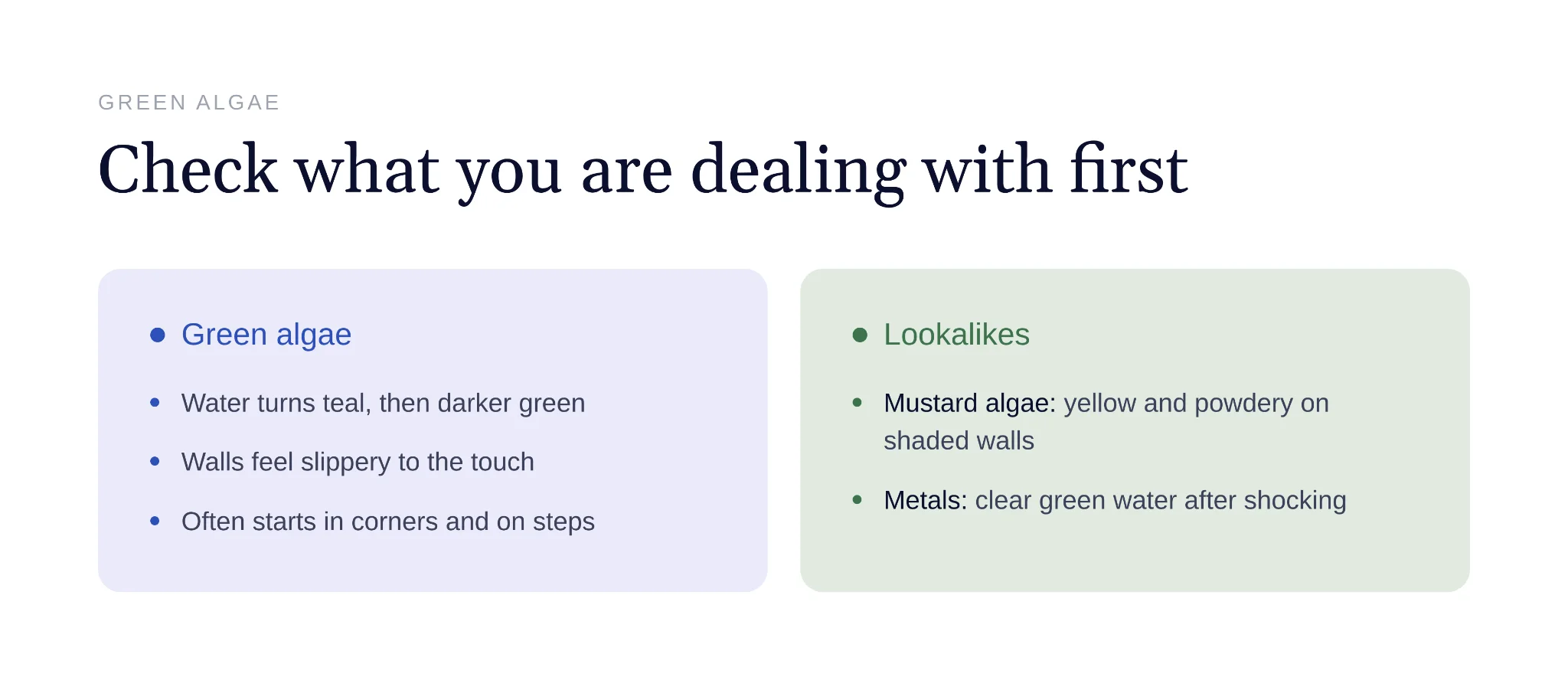 Comparison chart distinguishing green algae from mustard algae and metal stains