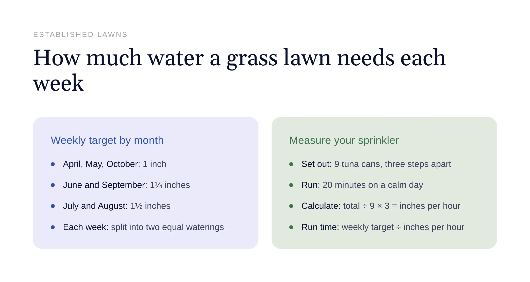Healthy established grass lawn with proper watering and mowing