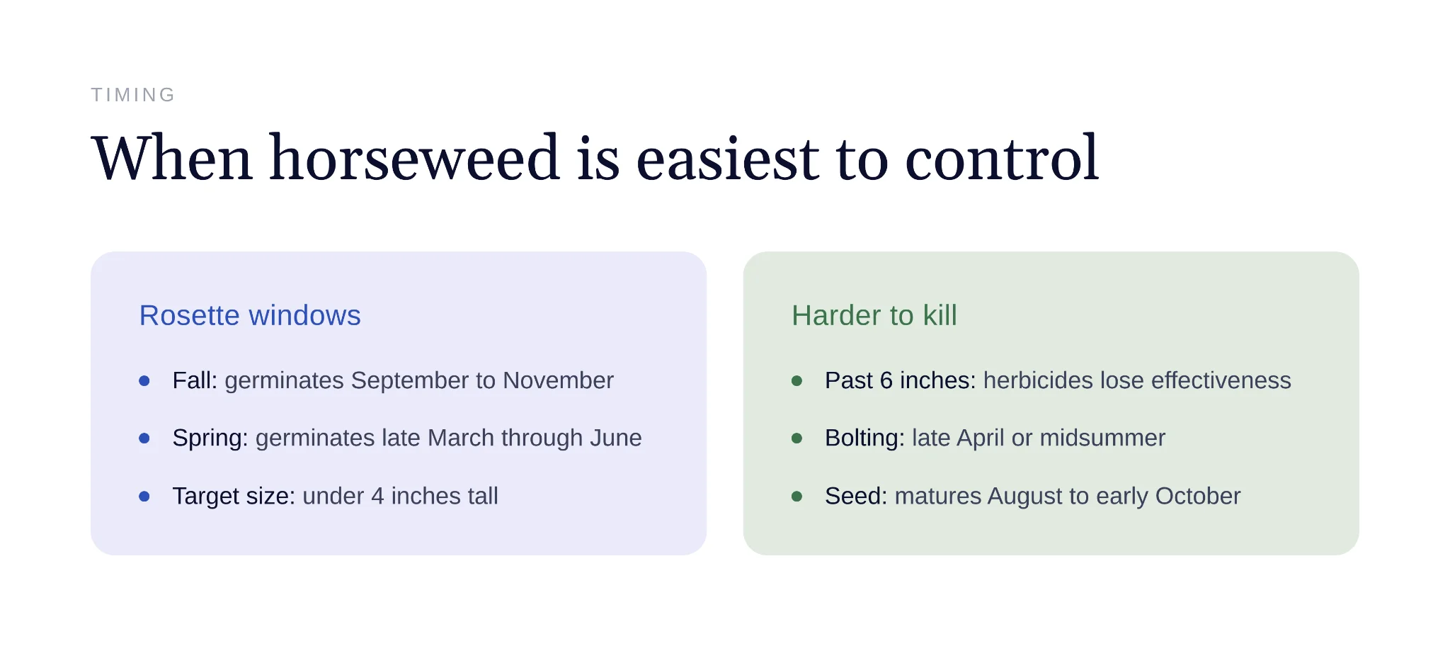 Growth stages showing when to control horseweed in lawns