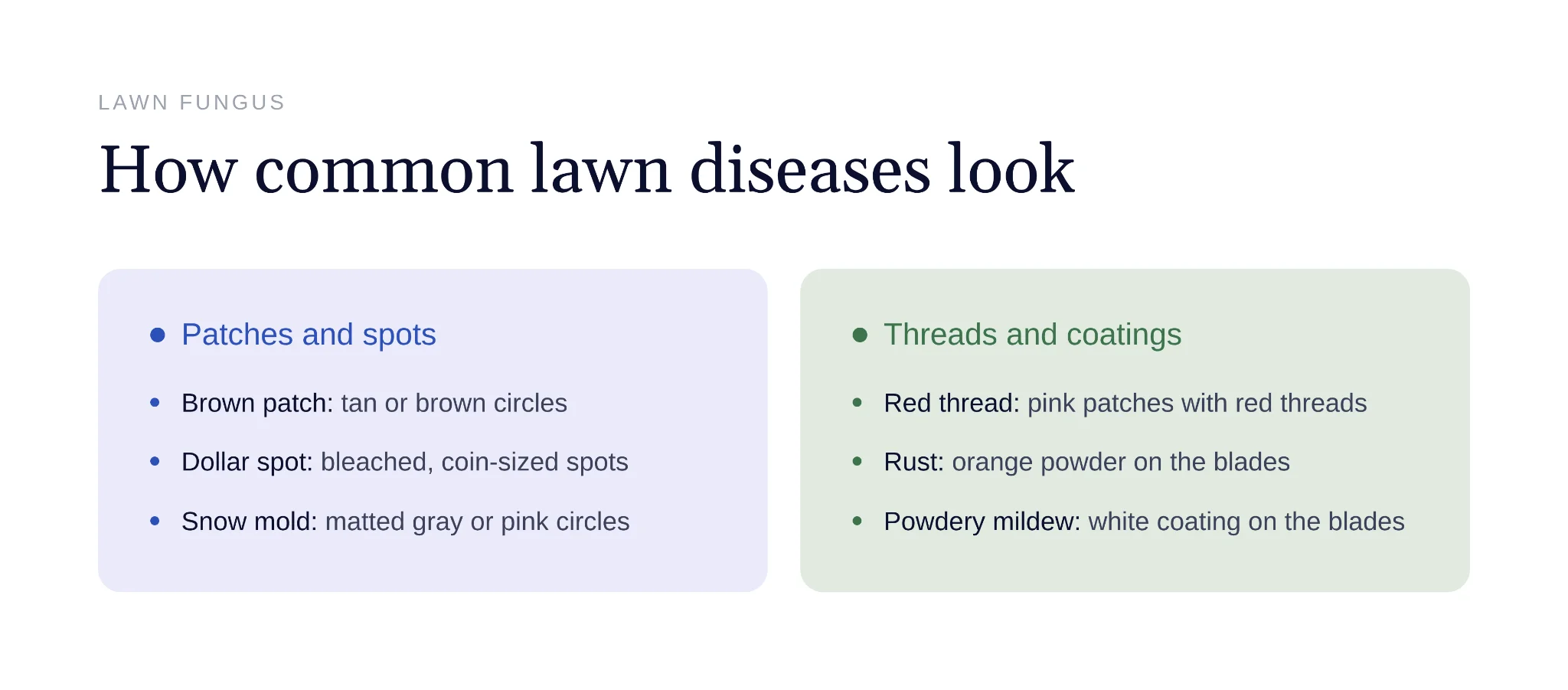 Visual guide to identifying brown patch dollar spot red thread and rust