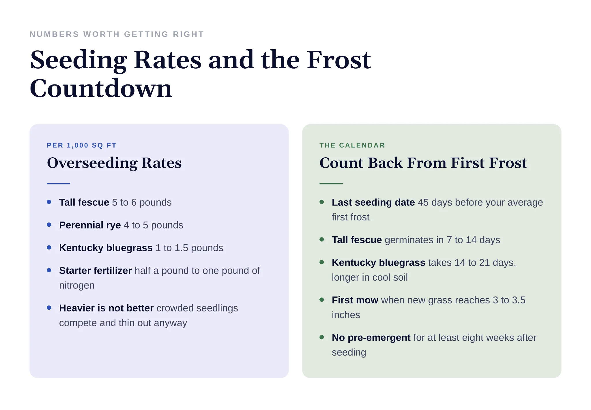 New seed needs frequent watering unlike established lawn areas