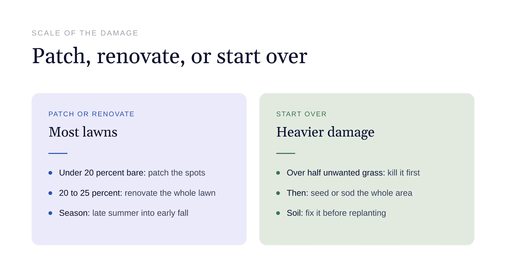 Guide to choosing between patching and renovating a bare lawn