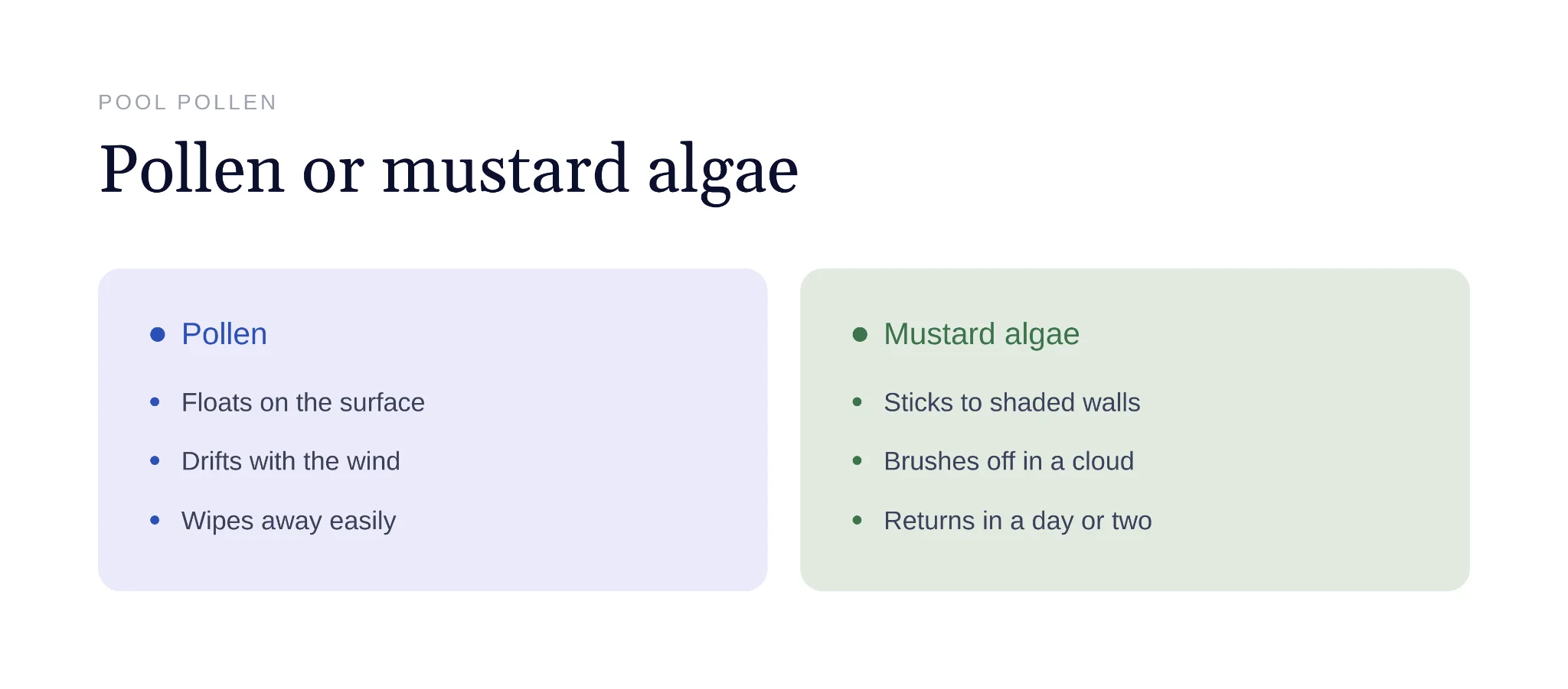 Comparison chart identifying pool pollen versus mustard algae buildup