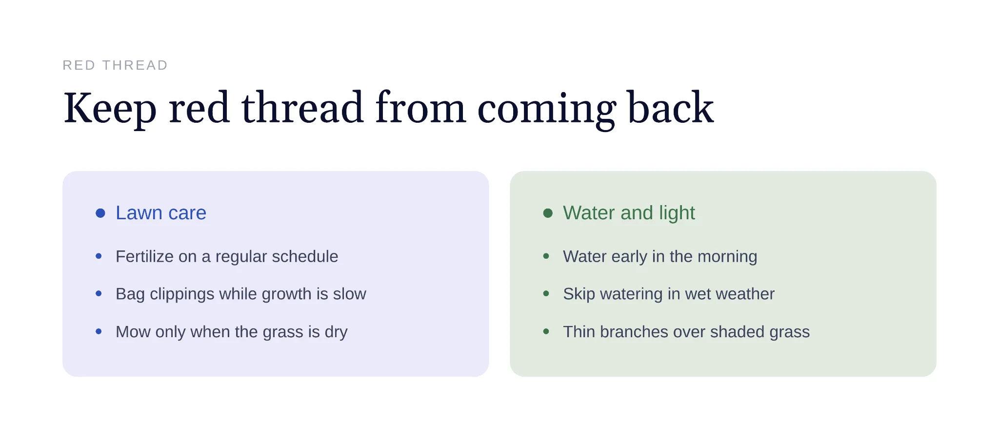 Lawn care and watering practices that prevent red thread from returning