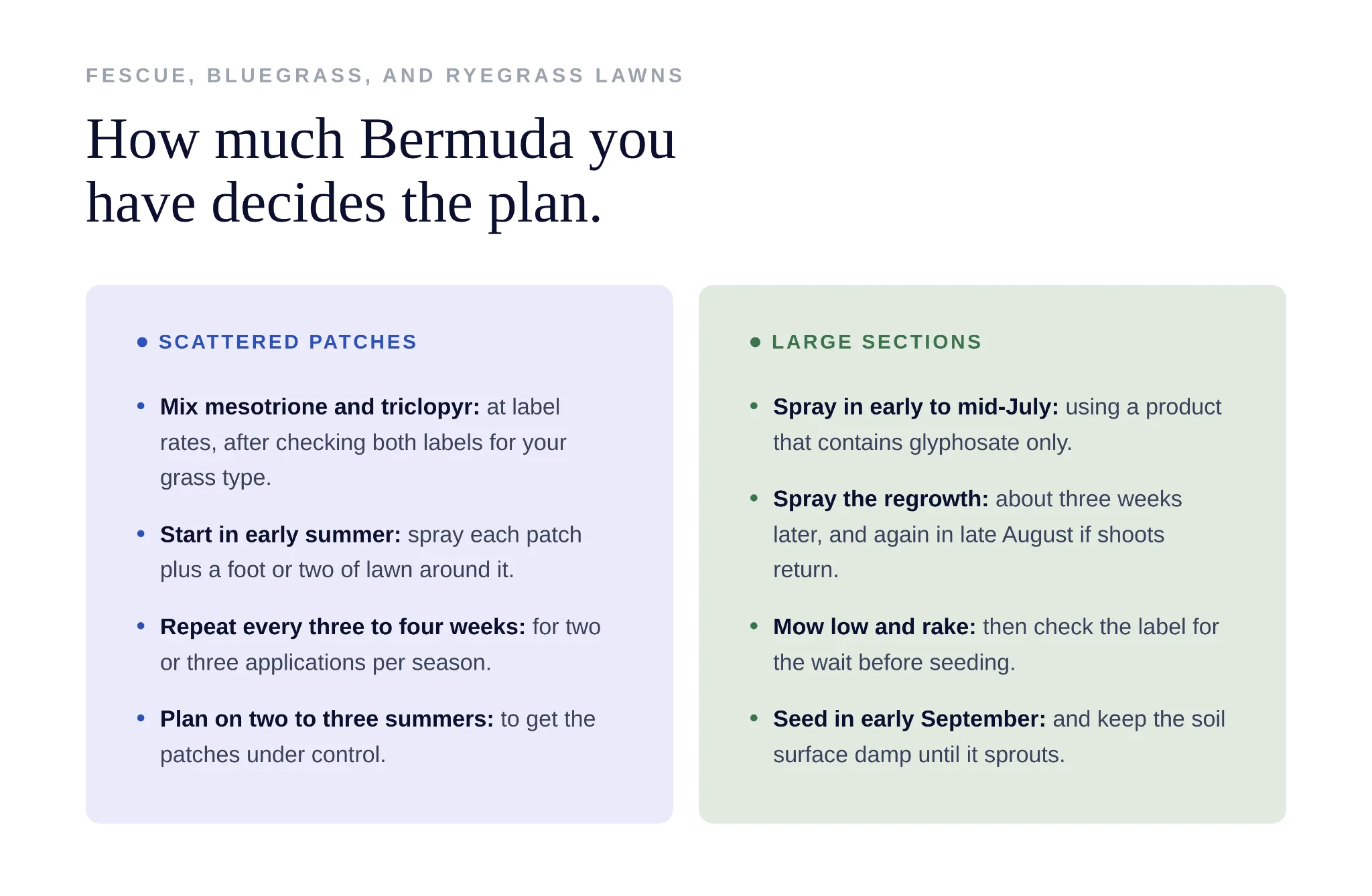 Comparison of treatment plans for scattered bermuda patches versus large infested sections