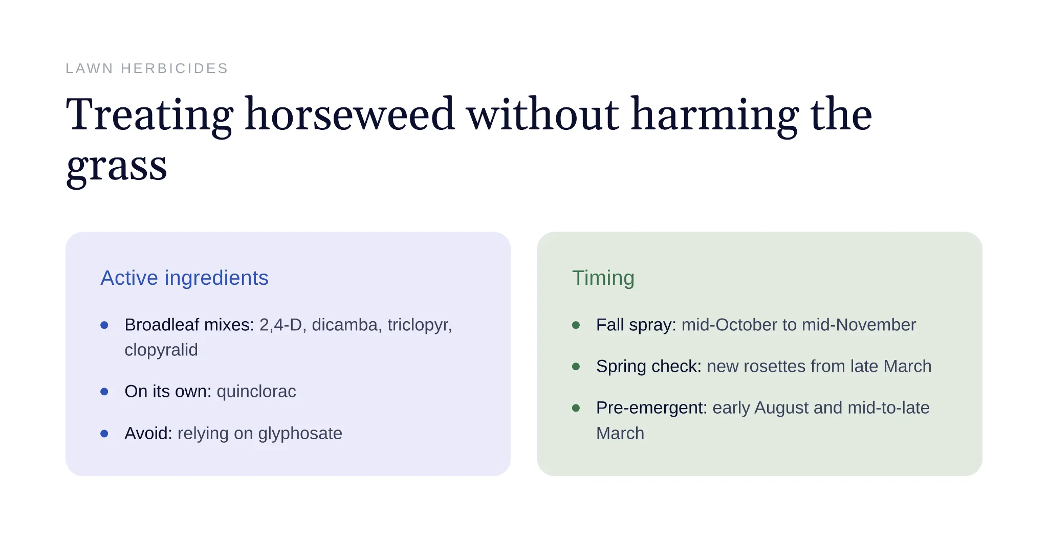 Applying selective broadleaf herbicide to horseweed in a lawn