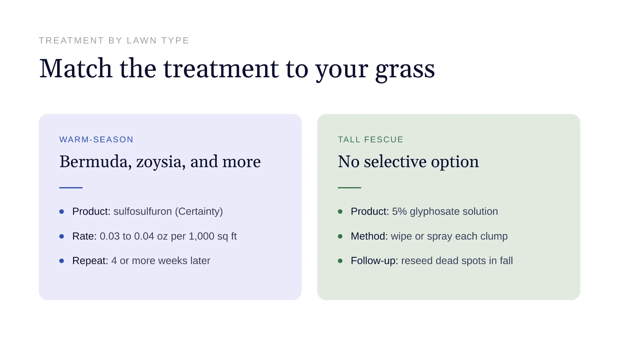Spraying selective herbicide to control johnsongrass in lawn