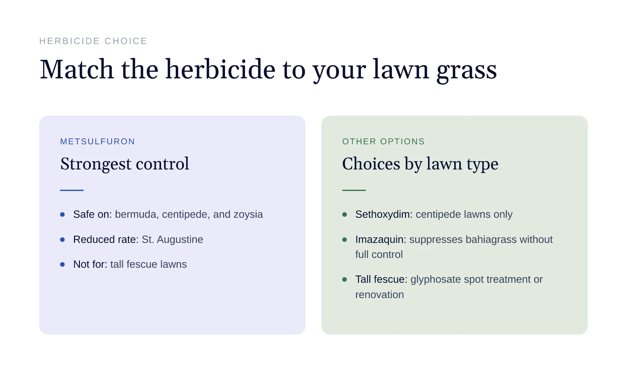 Person spraying herbicide onto bahia grass lawn patches