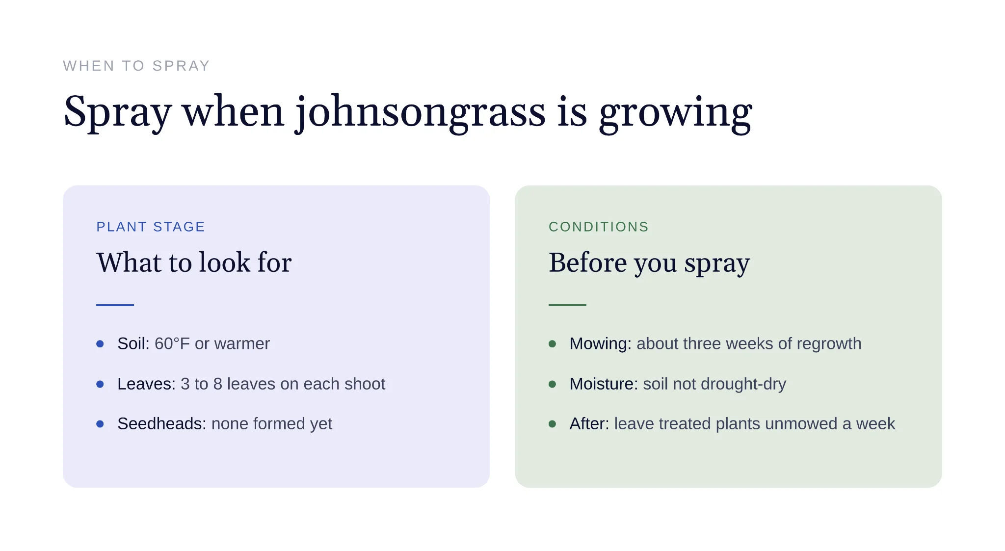 Herbicide application timing to kill johnsongrass rhizomes