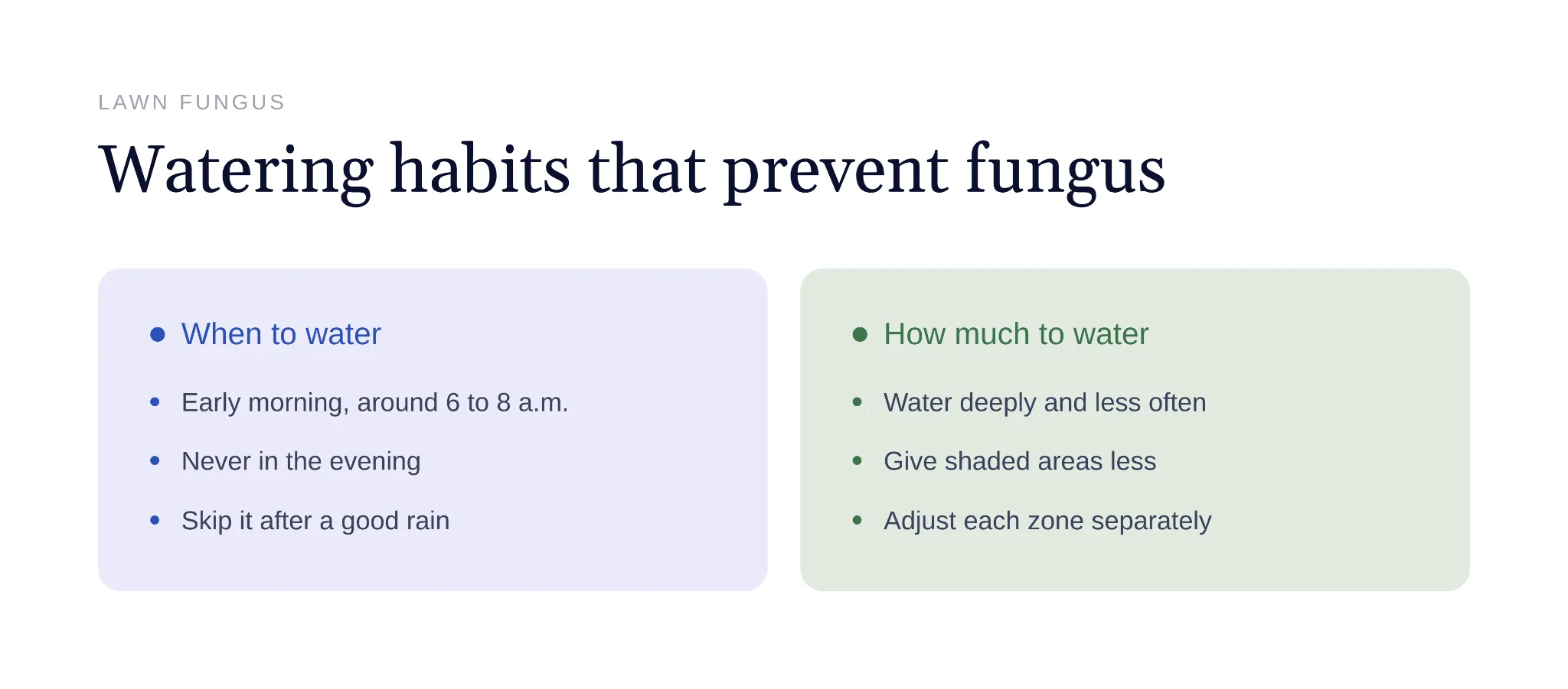 Morning watering schedule and depth guidelines that help prevent lawn fungus