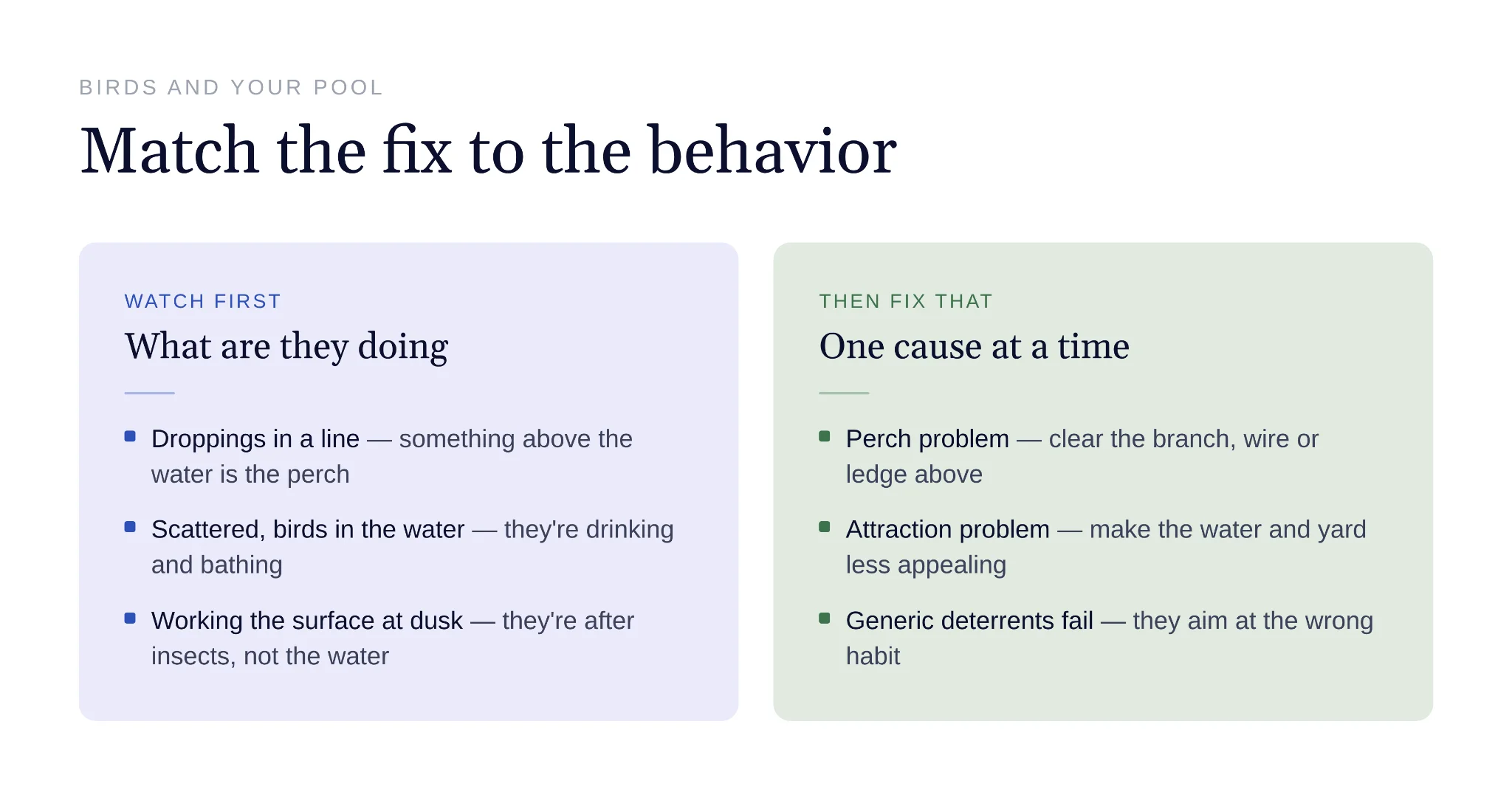 Bird behavior determines which pool prevention methods work best