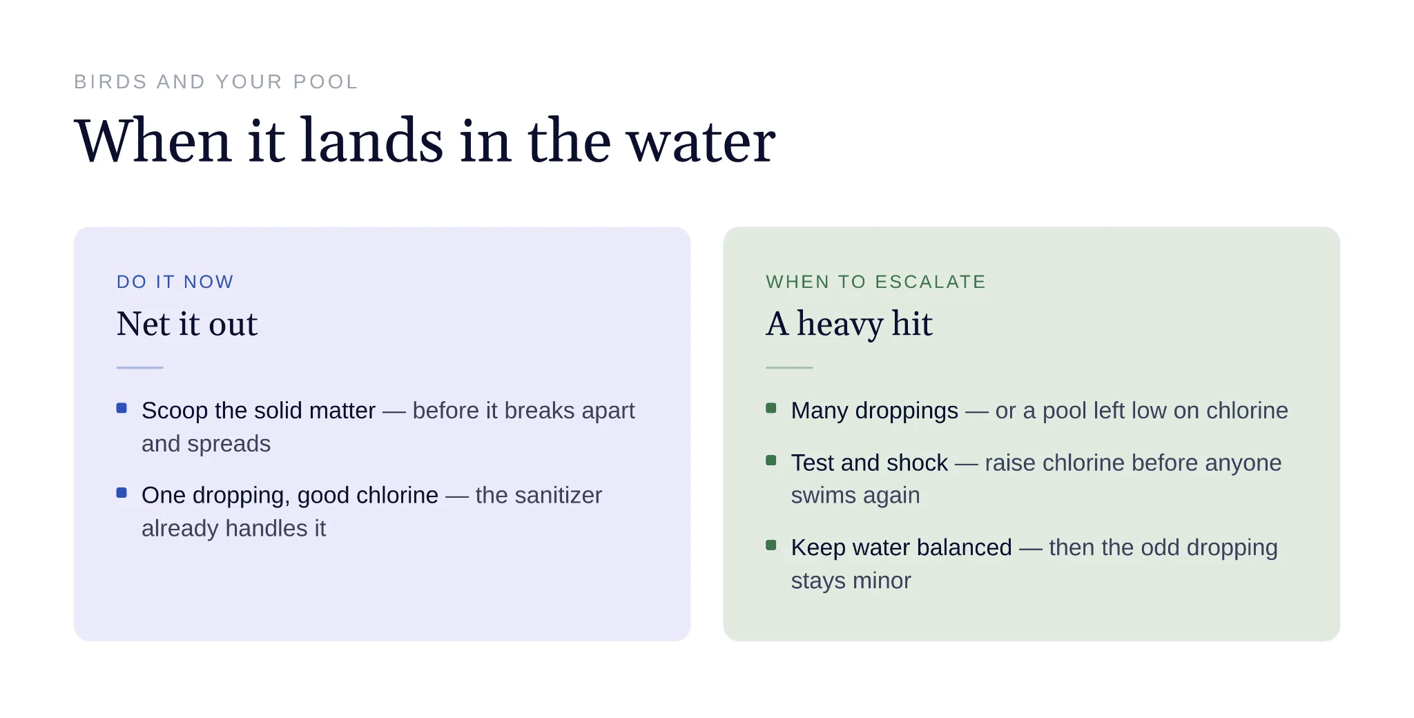 Bird droppings require prompt removal and appropriate water treatment