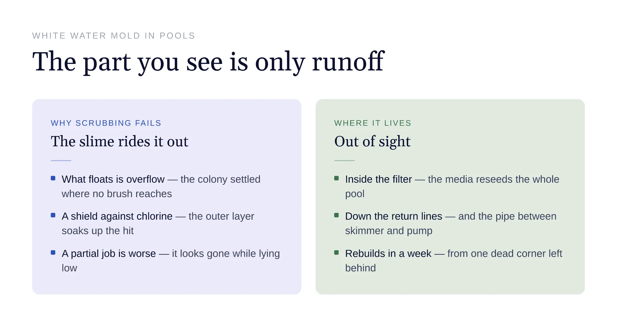 Scrubbing fails because mold hides inside filters and pipes