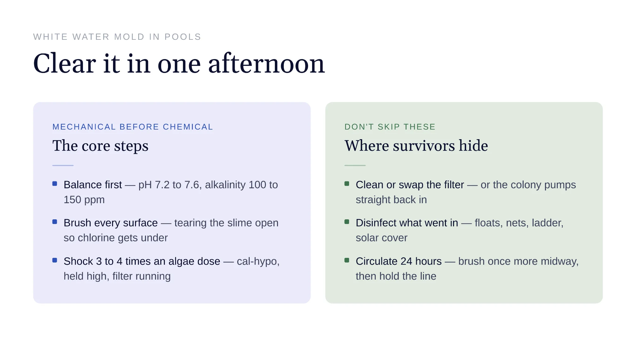 Steps to clear white water mold in one afternoon